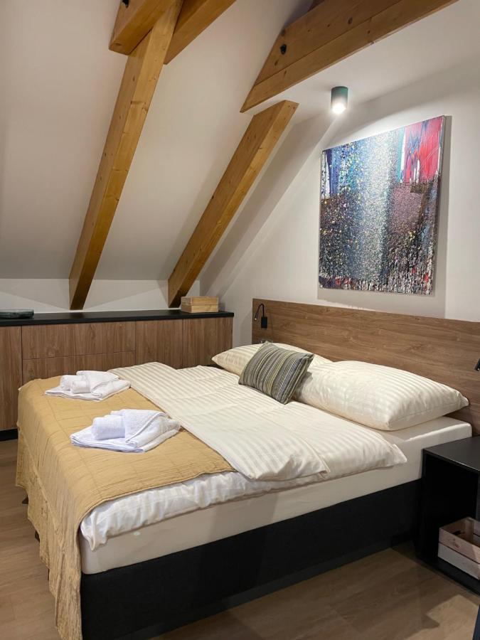 Apartmany Vysluni ชปินด์เลอรูฟ มลิน ภายนอก รูปภาพ